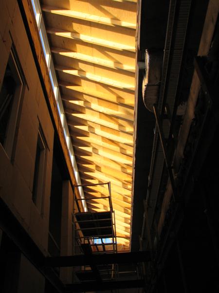 IMG_5265 (Medium).JPG